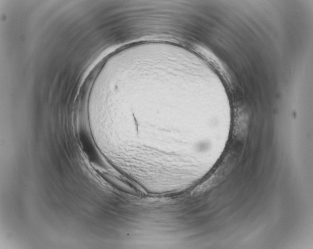 X0000087691284200706011710