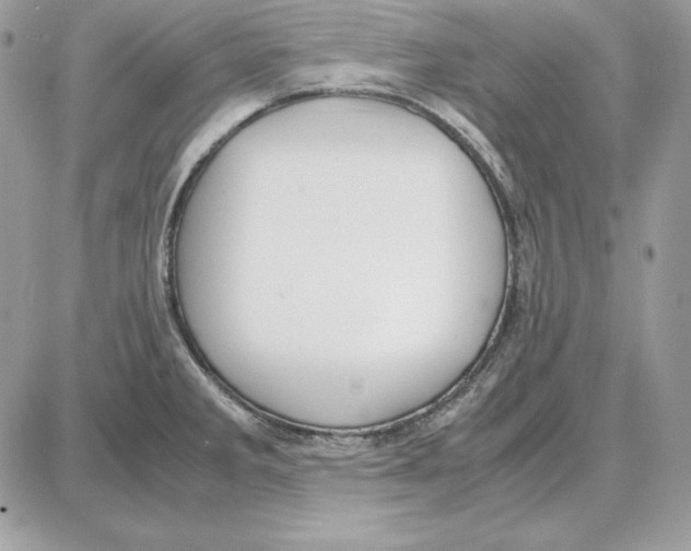 X0000087691285200706011710