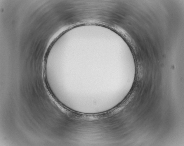 X0000087691286200706011710