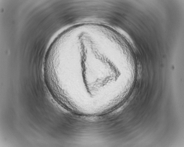 X0000087691288200706011710