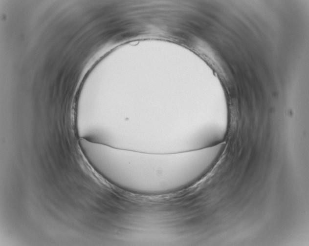 X0000087691292200706011710