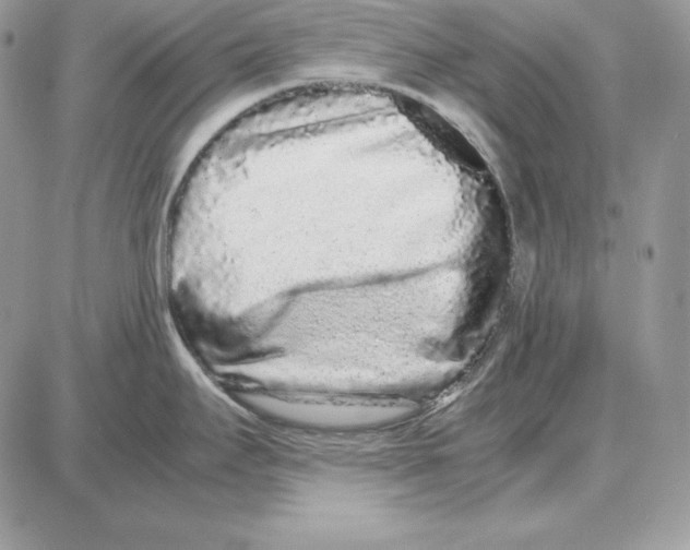 X0000087691295200706011710