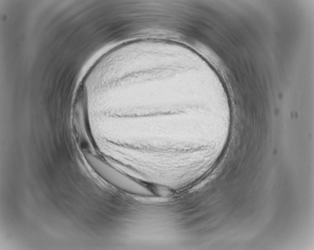 X0000087691296200706011710