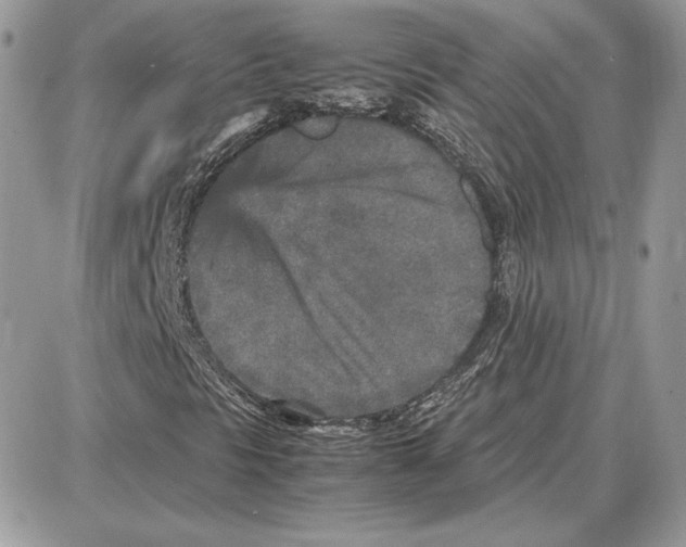 X0000087691297200706011709
