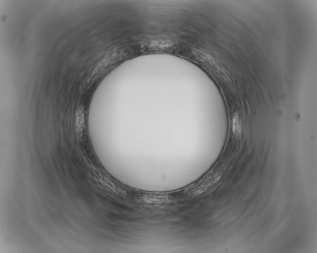 X0000087691299200706011709