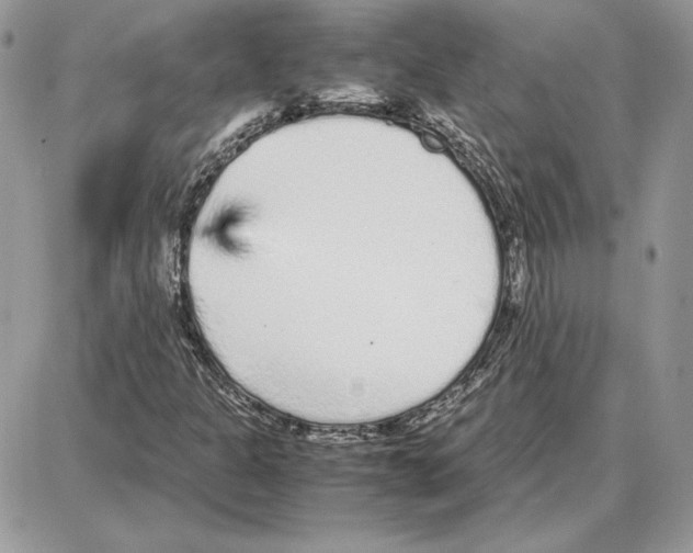 X0000087691301200706011709