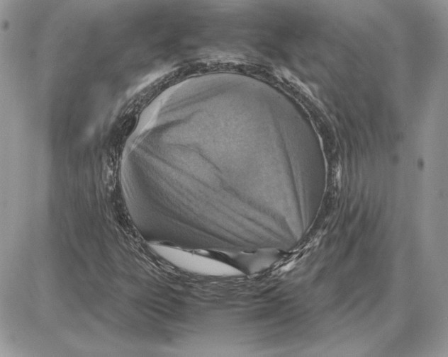 X0000087691303200706011709