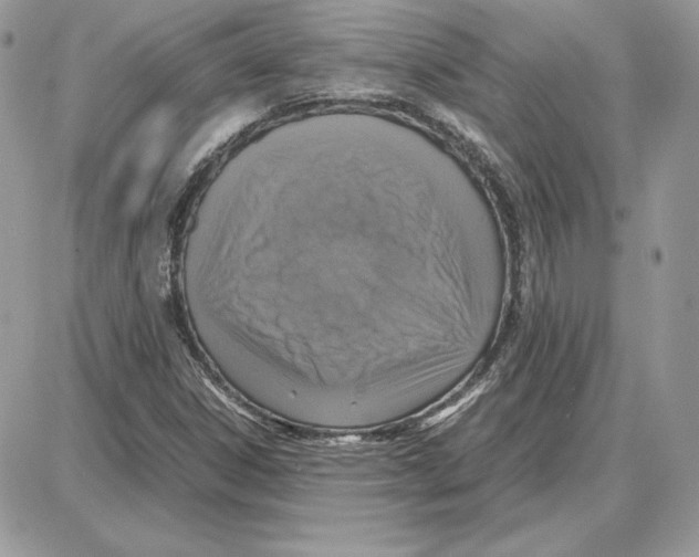 X0000087691306200706011709