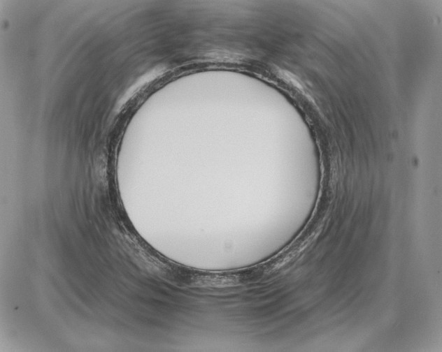 X0000087691307200706011709
