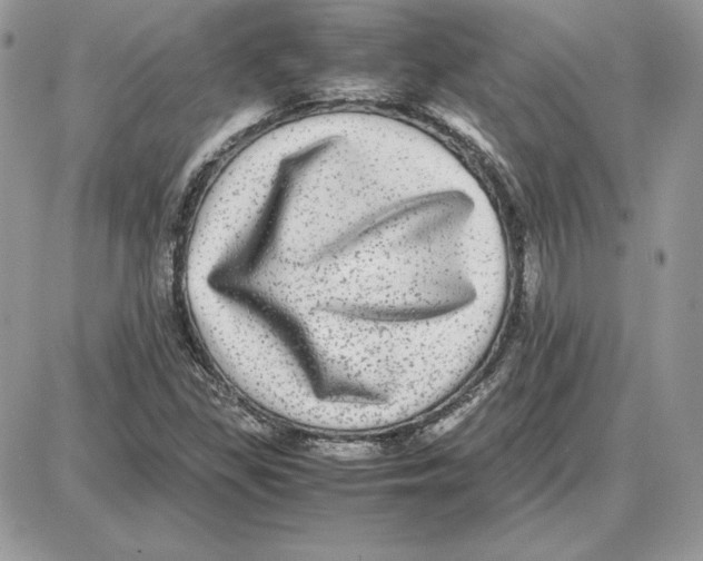 X0000087691309200706011709