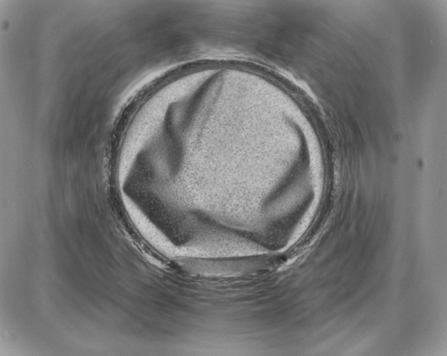 X0000087691311200706011709