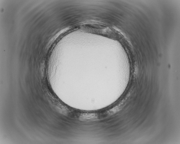 X0000087691313200706011709
