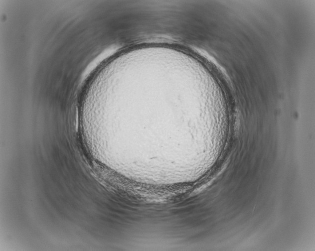 X0000087691317200706011709