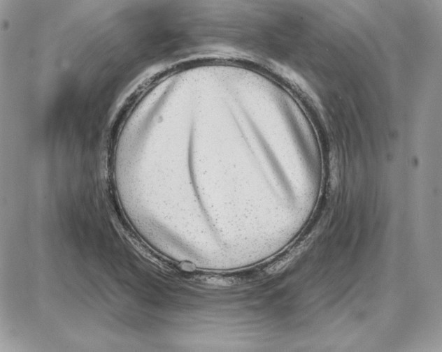 X0000087691318200706011709