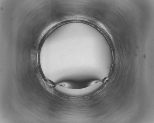 X0000087691320200706011709