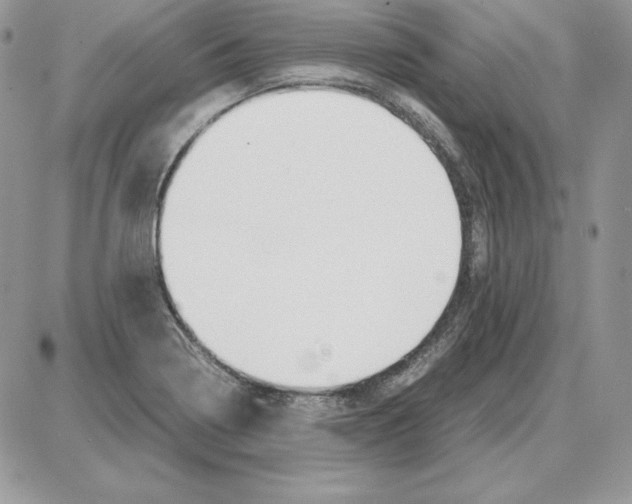 X0000087691322200706011709