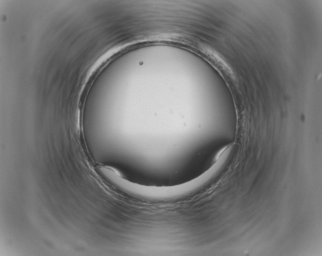 X0000087691324200706011709