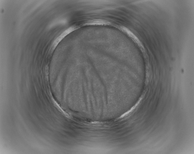 X0000087691329200706011709