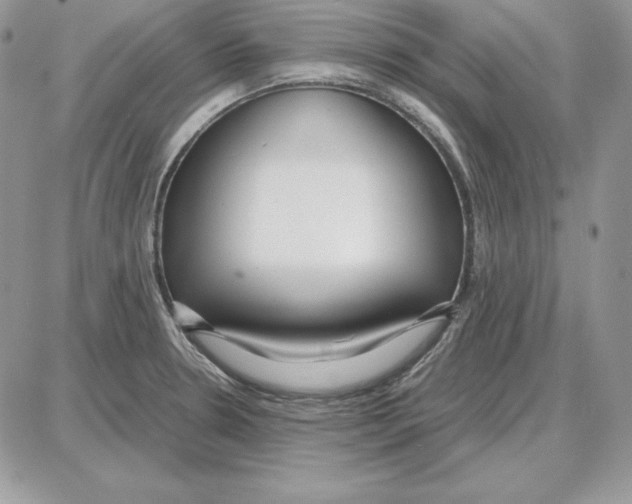 X0000087691330200706011709
