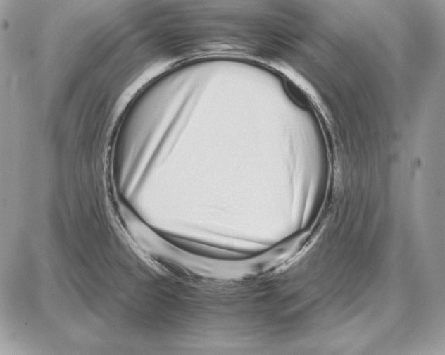 X0000087691333200706011709