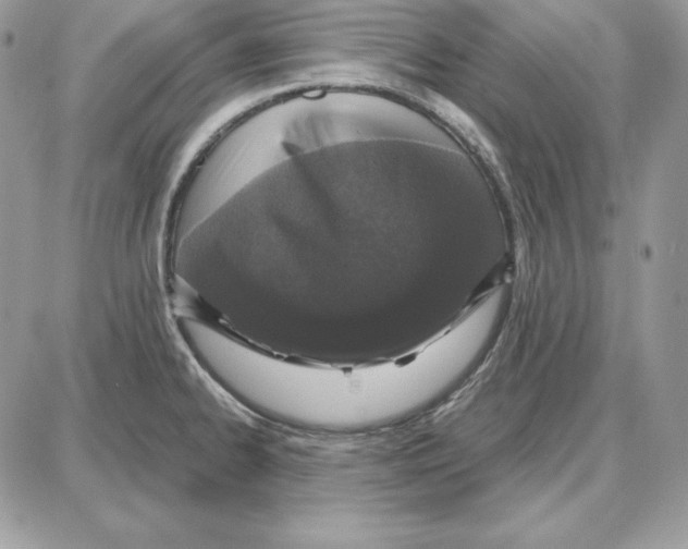 X0000087691334200706011709