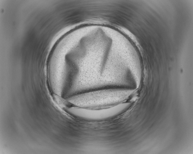 X0000087691335200706011709