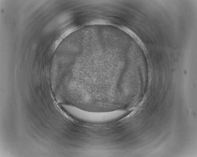 X0000087691337200706011709