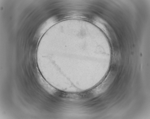 X0000087691338200706011709