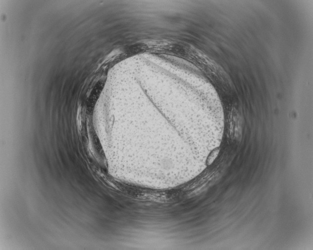 X0000087691346200706011709