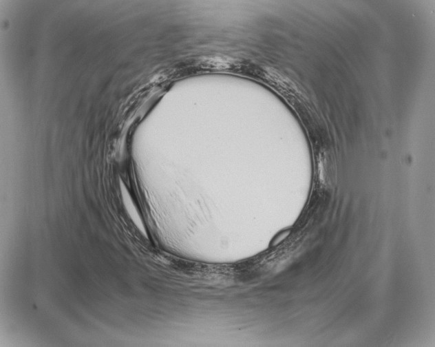 X0000087691347200706011709