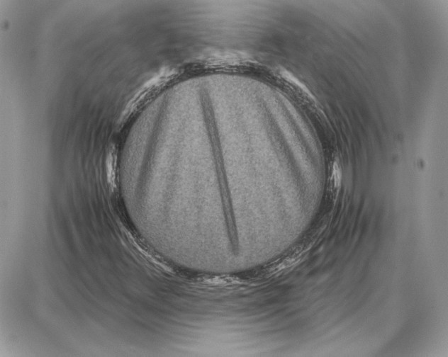 X0000087691348200706011709
