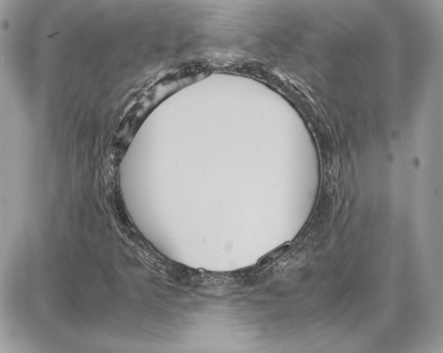 X0000087691349200706011709
