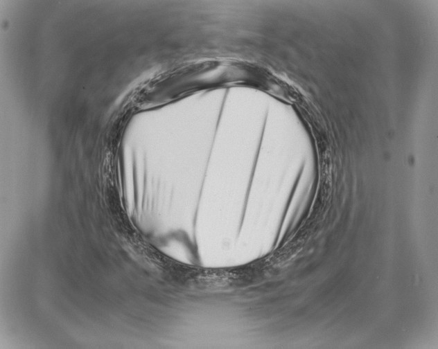 X0000087691351200706011709