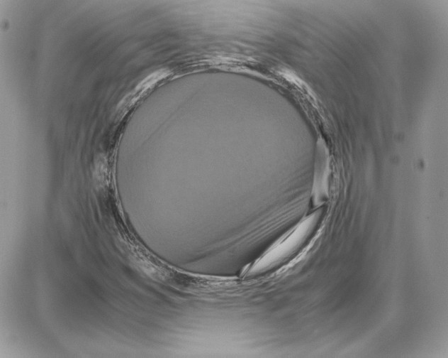 X0000087691353200706011709