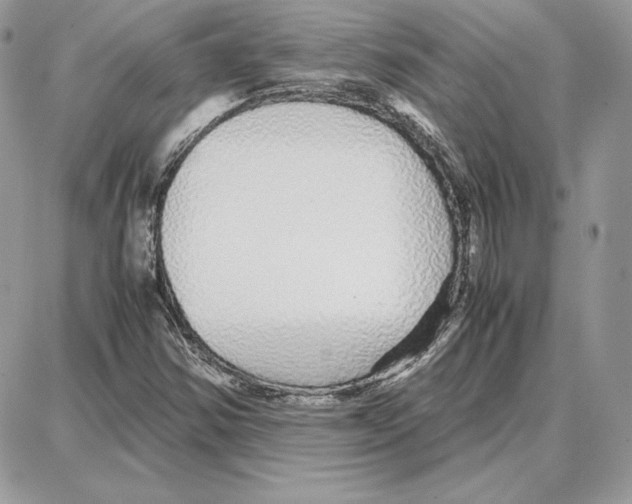 X0000087691354200706011709