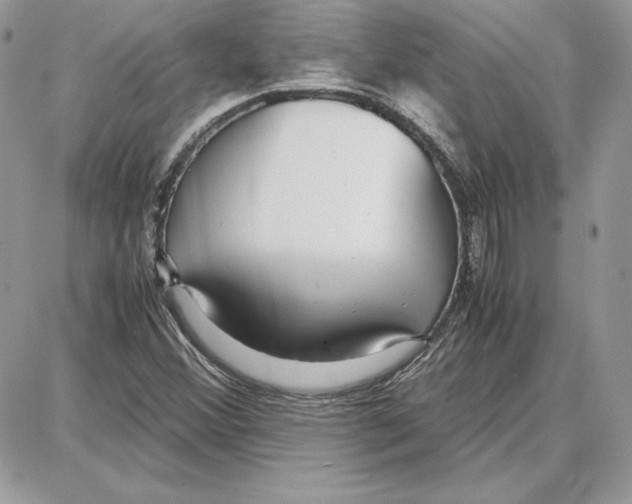 X0000087691356200706011709