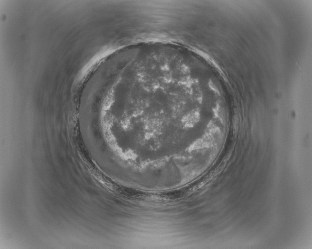 X0000087691359200706011709