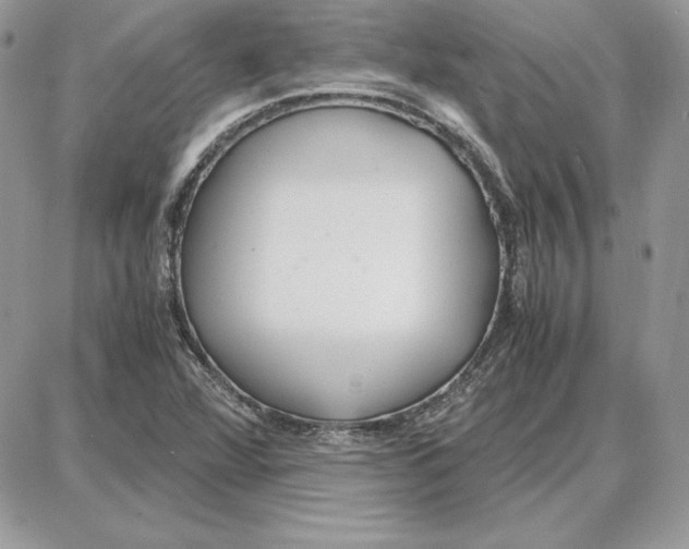 X0000087691360200706011709