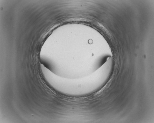 X0000087691361200706011709