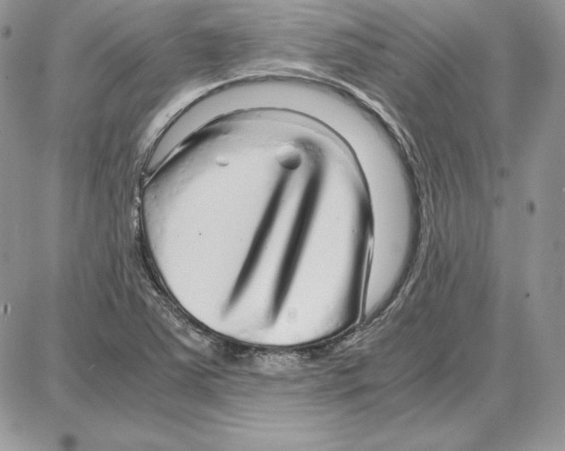 X0000087691363200706011709