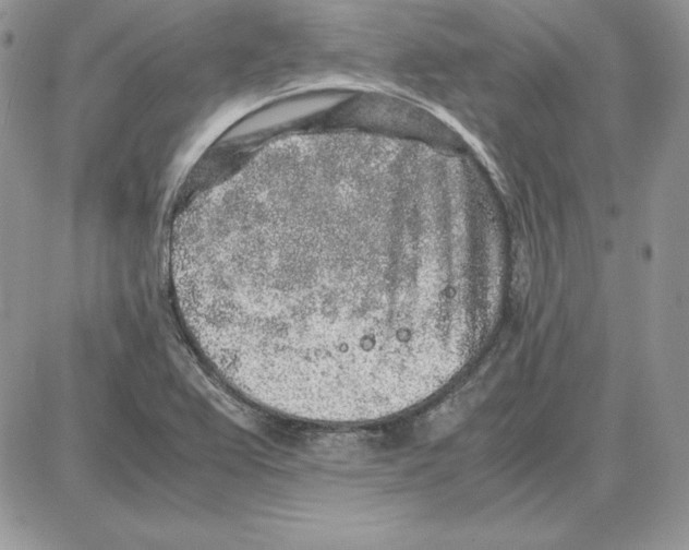 X0000087691367200706011708