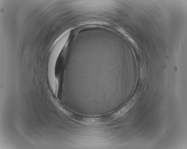 X0000087691369200706011708