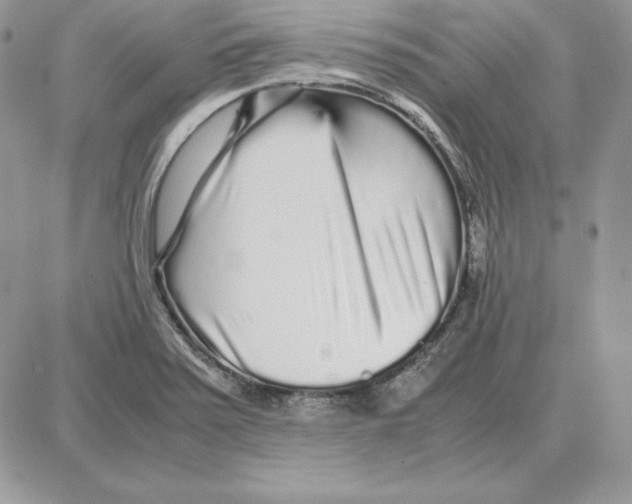 X0000087691371200706011708