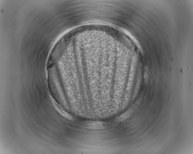 X0000087691372200706011708