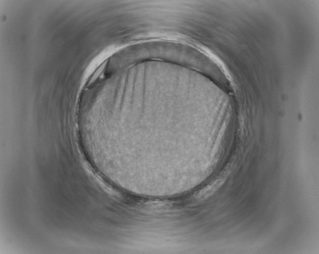 X0000087691373200706011708