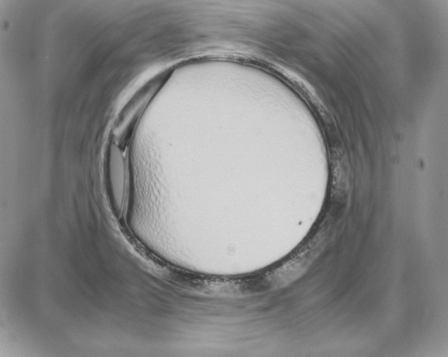 X0000087691375200706011708