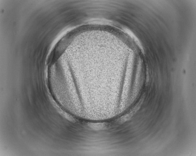 X0000087691376200706011708