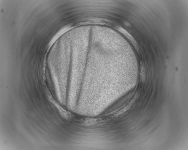 X0000087691378200706011708