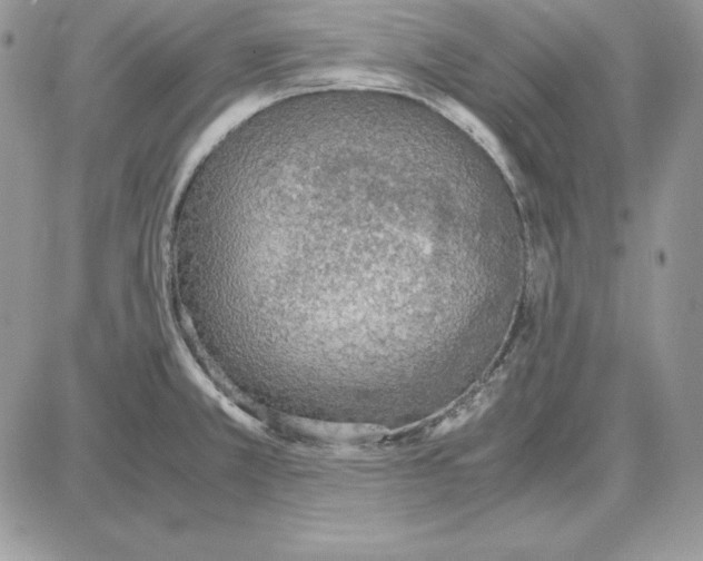 X0000087691381200706011708