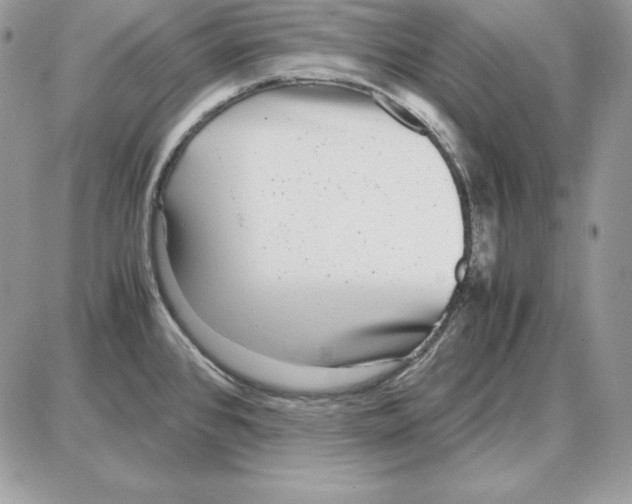 X0000087691384200706011708